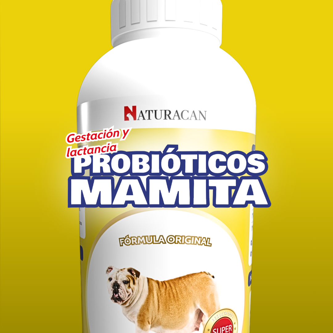 Mastershop Product Image